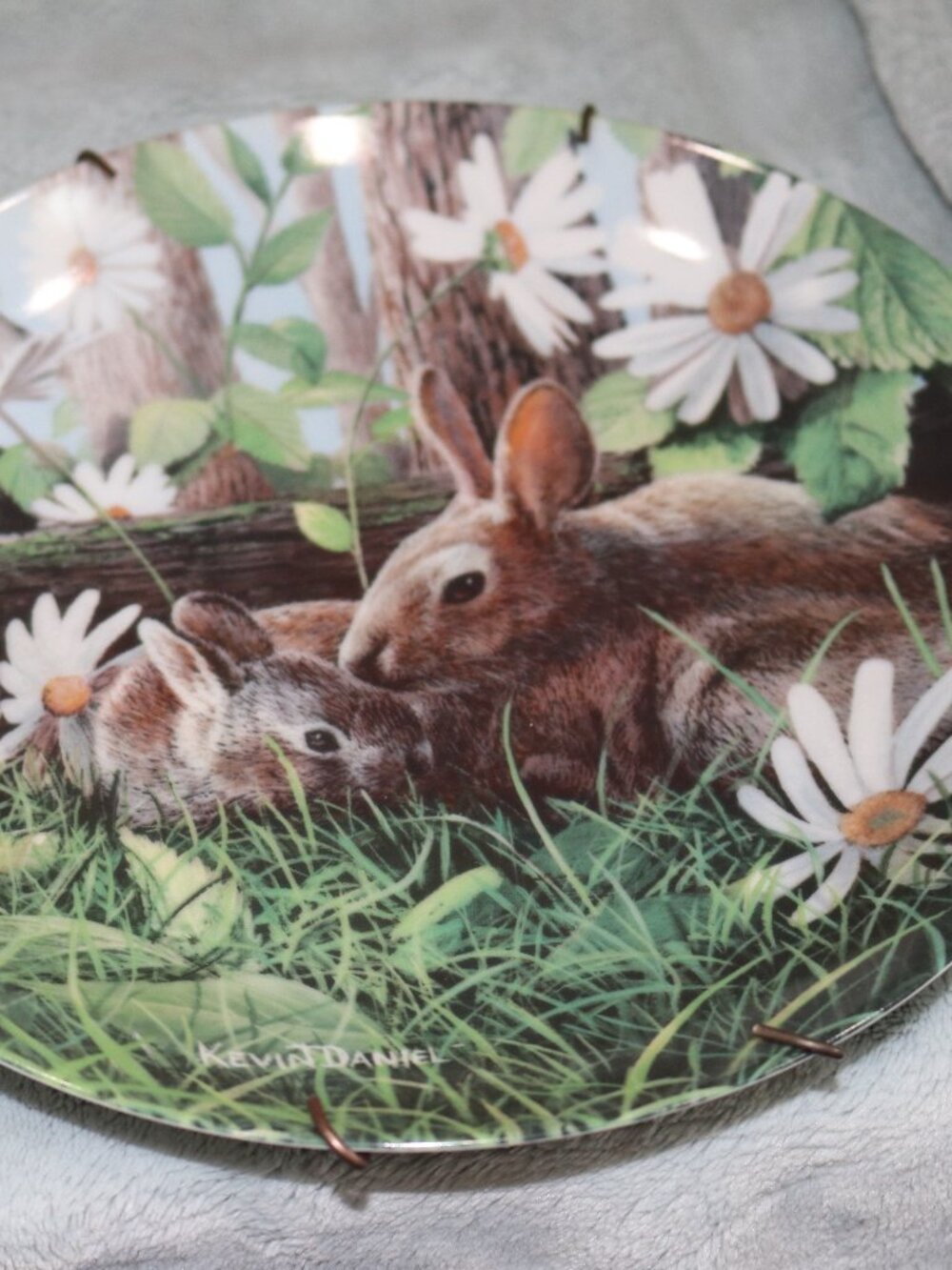 The Bradford Exchange "The Rabbit" vintage collectors wildlife plate